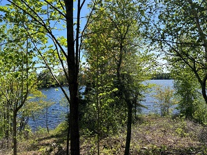 Garden Lake Lakeshore